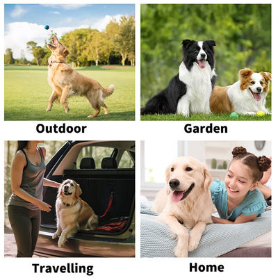 Non tessuti Blue Package Cleaning Disposable Pet Grooming Gloves Wet Wipes For Dogs Cats