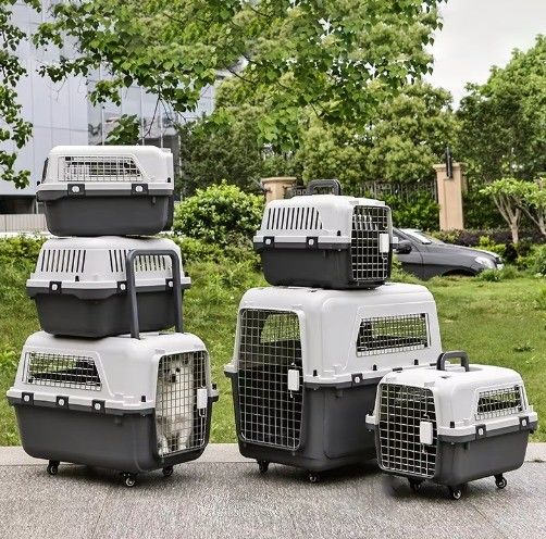 Cassa da viaggio sicura a doppia porta per gatti e cani con ruote e spazio super grande