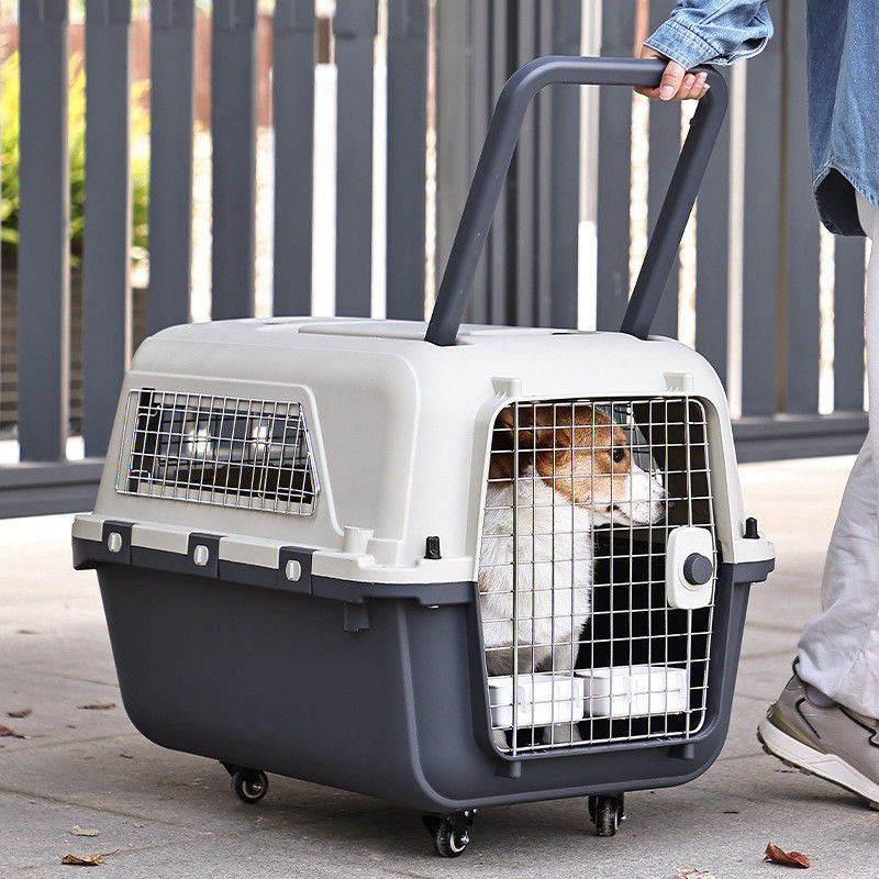 Borsa portatile per animali da compagnia con chiusura a bottone Cage per gatti di grande capacità per prodotti da viaggio