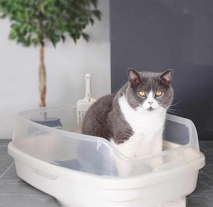 Pet Poop Clean Plastic Cat Litter Box con design aperto di grandi dimensioni e funzionalità anti-splash