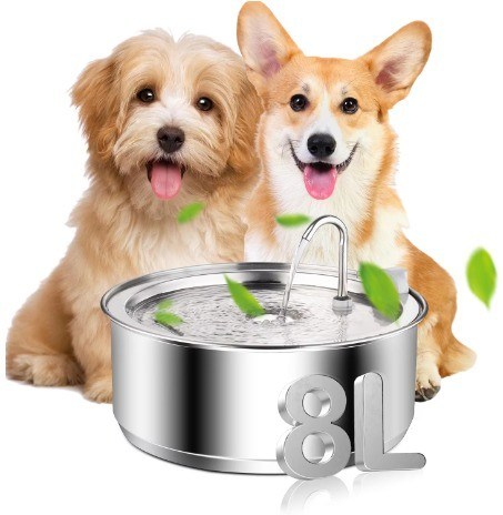 Dispensatore automatico di acqua per animali domestici Pompa ultra silenziosa Fontana d'acqua per gatti per piccoli animali