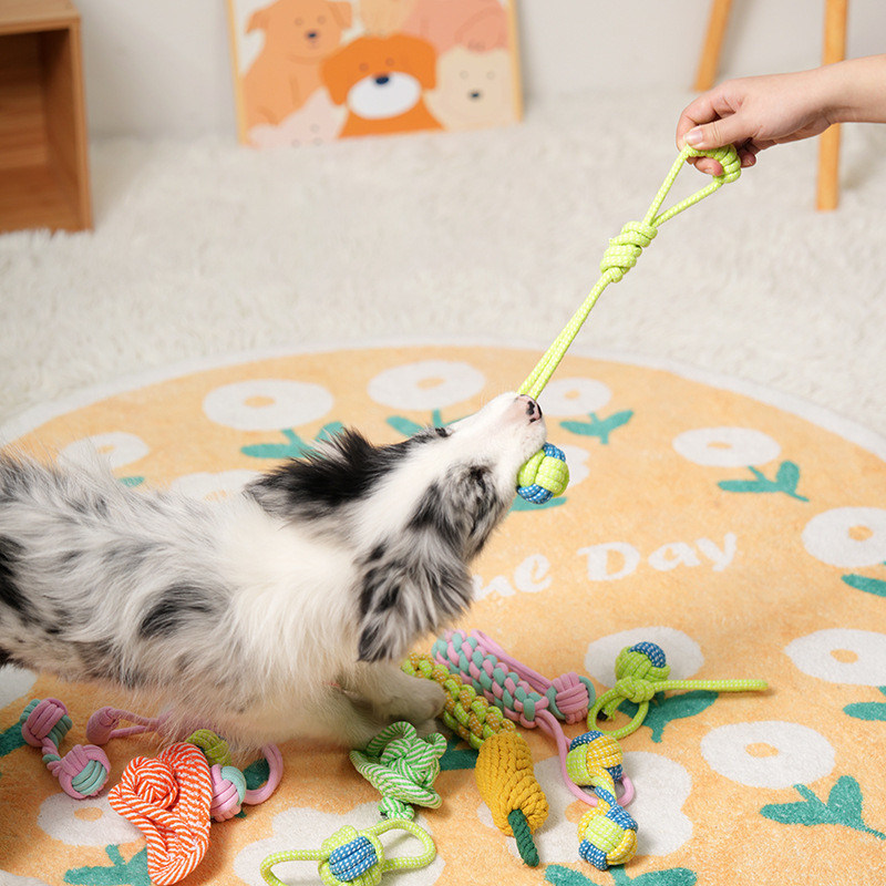 Giocare giocattoli per cani 7PC Set di giocattoli a corda intrecciata per la pulizia dei denti degli animali domestici e divertimento interattivo