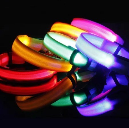 Servizio OEM/ODM Fornito Collare LED impermeabile personalizzato per cani riflettenti luminosi