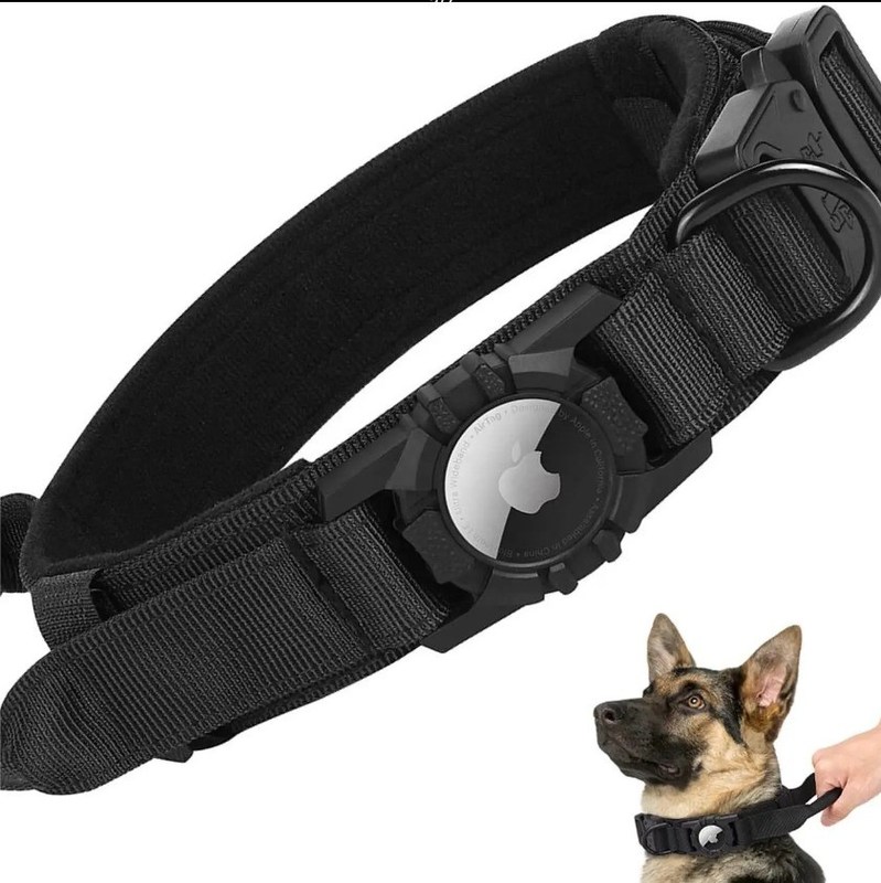 Collare di allenamento per cani di nylon per correre camminare escursioni Airtag Tracker Protective Case ora