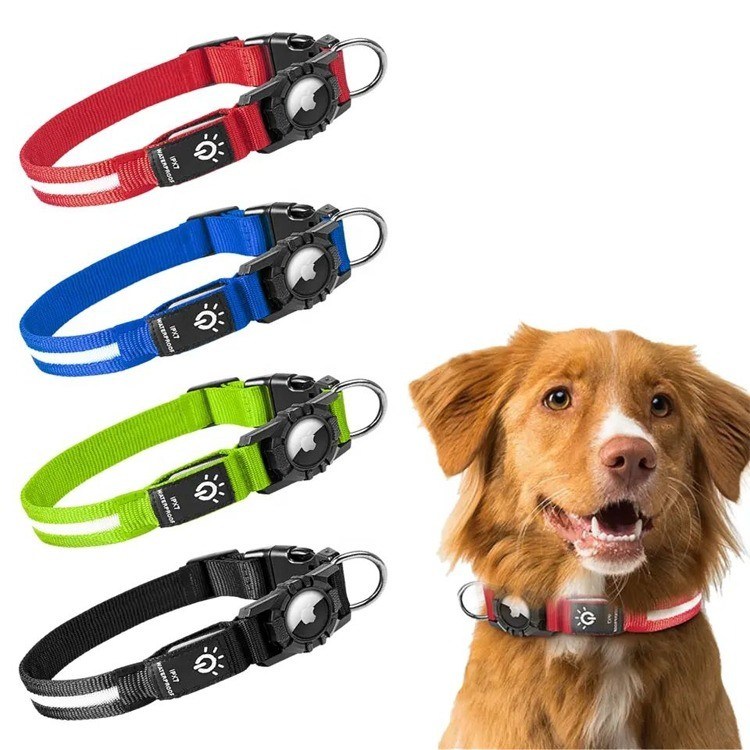 Collare per cani attivo a LED regolabile USB ricaricabile