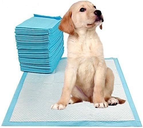 Piccoli Animali Stile Salutevole Allenamento al bagno interno Pet Piss Pad Assorbente 56 x 56 cm