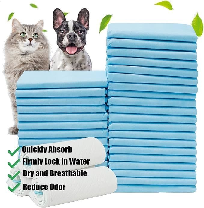Pad di addestramento per animali da compagnia usa e getta 56x56cm Pad di piscio per cani di grandi dimensioni per cuccioli e animali